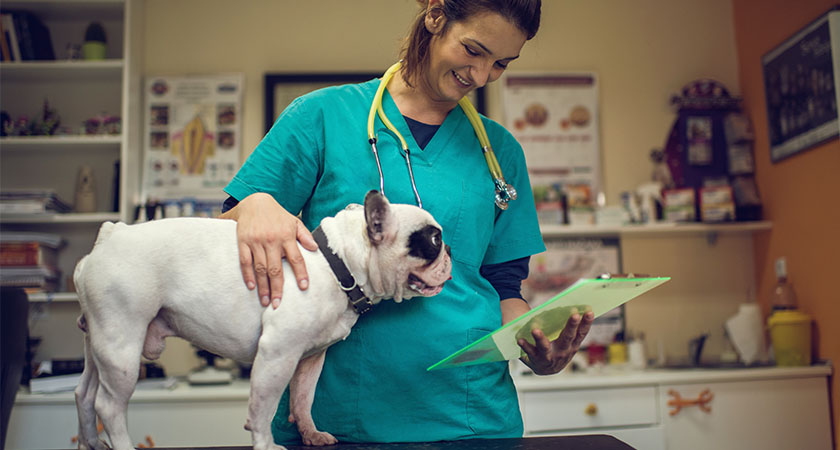  Patient Monitoring