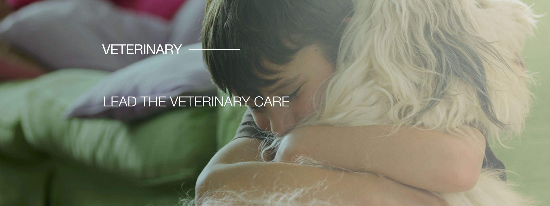 Veterinary